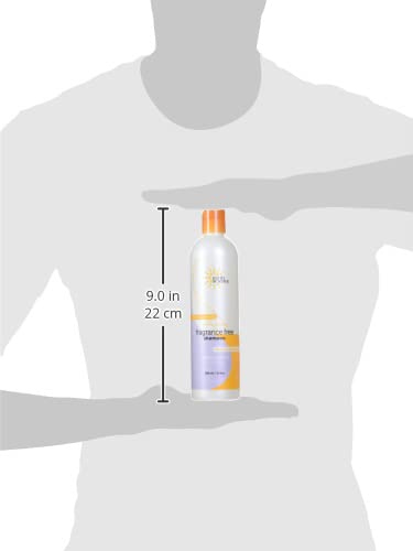 Earth Science Fragrance-Free Shampoo - Gentle Cleansing Formula | 12 oz Bottles (Pack of 3)