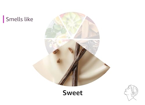 Bath & Body Works Vanilla Bean Noel Gentle Foaming Hand Soap (Pack of 2) 8.75 Oz each - Packaging Design Varies