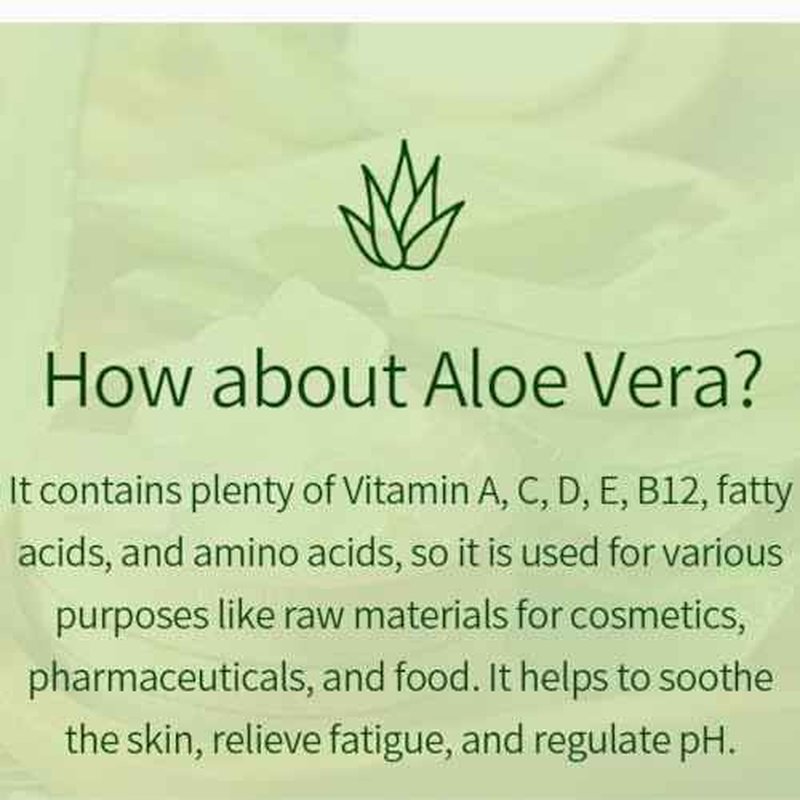 VENAMINE Korean Aloe Vera Soothing & Moisture 100% Gel Mist, 150 Gram