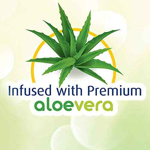 Cloudz - (2 Pairs! Dreamy Blue Soft Plush Natural Aloe Vera Spa Socks - (Assorted Solid & Patterned)