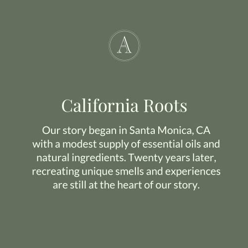 Archipelago Botanicals Botanico de Havana Body Wash, Moisturizing Body Wash for Dry and Sensitive Skin, Gentle Daily Cleanser, Free from Parabens, Phthalates and GMOs (15.3 oz)