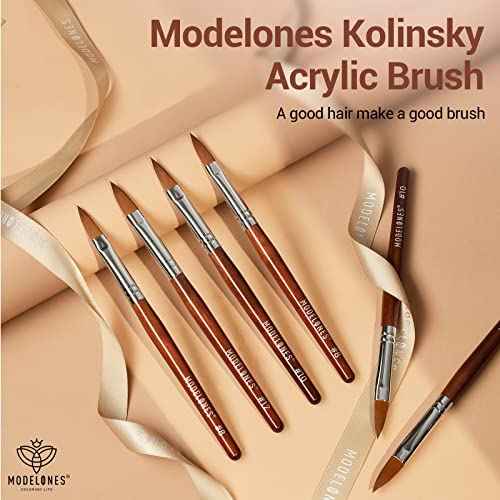 MODELONES Acrylic Nail Brush 100% Pure Kolinsky Hair Bristles Oval Crimped Shaped Sturdy Wooden Handle Acrylic Powder Nail Art Brush Professional Manicure Pedicure Size 8