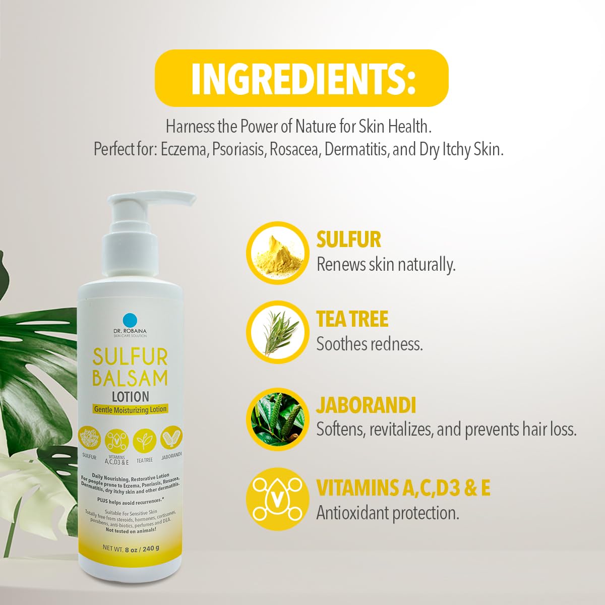 Dr. Robaina Sulfur Balsam Lotion - Lightweight Moisturizer for Dry, Itchy Skin - Calms Redness & Locks Hydration | 8 fl oz, USA Made