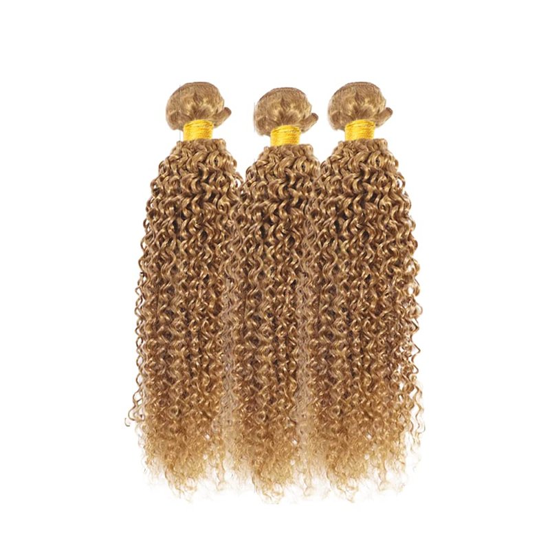Honey Blonde Curly Bundles Color 27 Bundle Human Hair Blonde Kinky Curly Bundle Brazilian Unprocessed Virgin Hair 3 Bundles 18 18 18 Inch