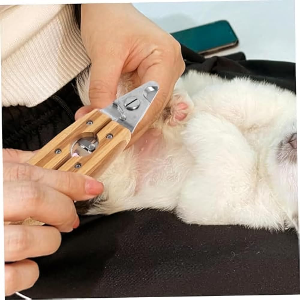 Pet Nail Clippers for Dogs & Cats - Stainless Steel Grooming Tool with Safe Grip, Eco-Friendly Design