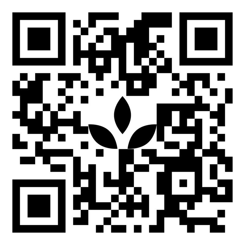Korica Beauty Papers | Premium Facial Oil Blotting Papers from Natural Abica Tree Fibers