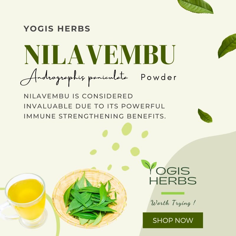 YOGIS HERBS Nilavembu Powder — Andrographis paniculata/Kalmegh/King of Bitters — Traditional Tamil Siddha Herb for Daily Wellness, Seasonal Comfort & Immune-Supporting Routines — Single-Ingredient