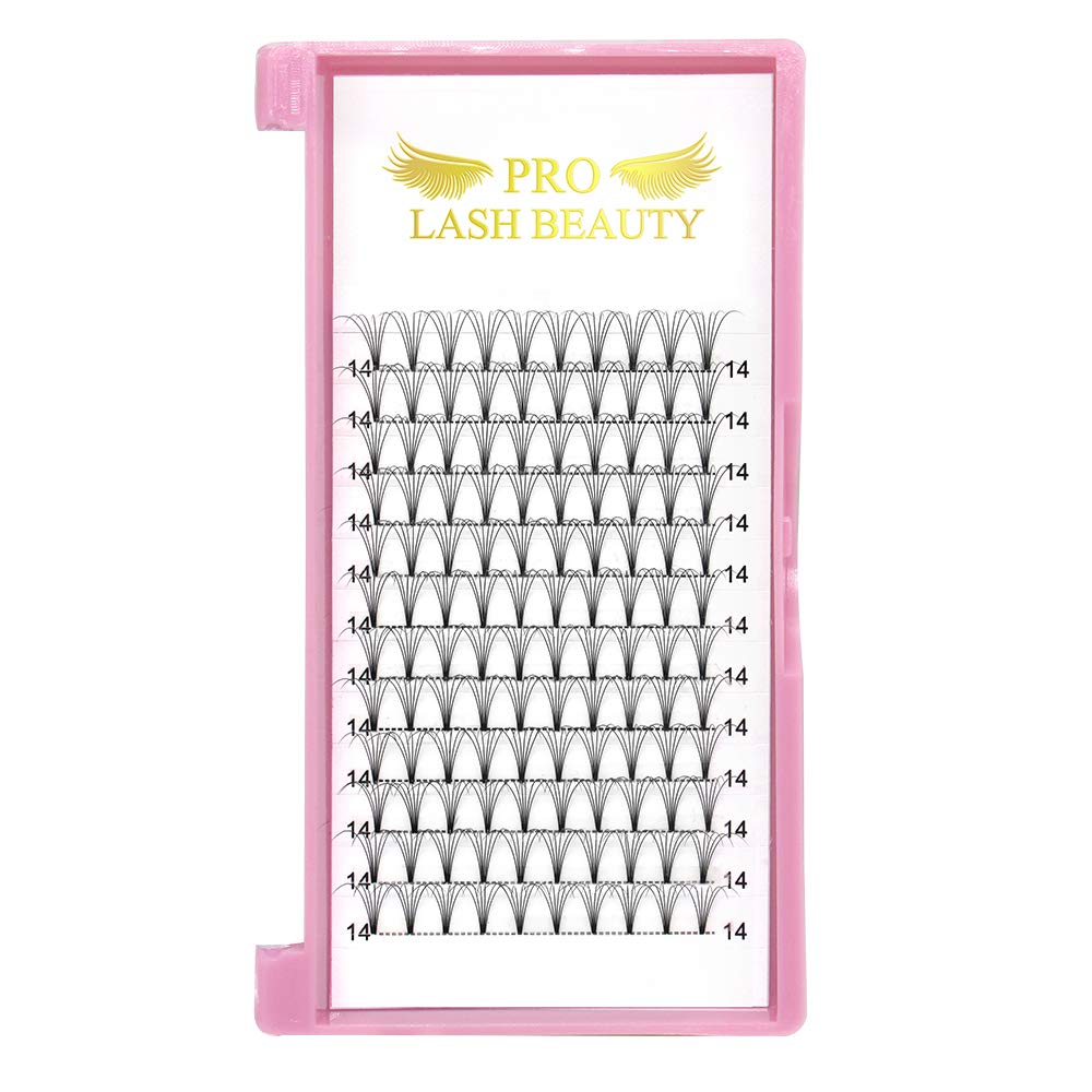Premade Volume Eyelash Extensions 6D-C-0.07-15 Short Stem Premade Fans Eyelash Extensions 9 to 20 mm Volume Lash Extensions .07 .10 Pre made Lash Fans C D Curl (6D-C-0.07,15mm)