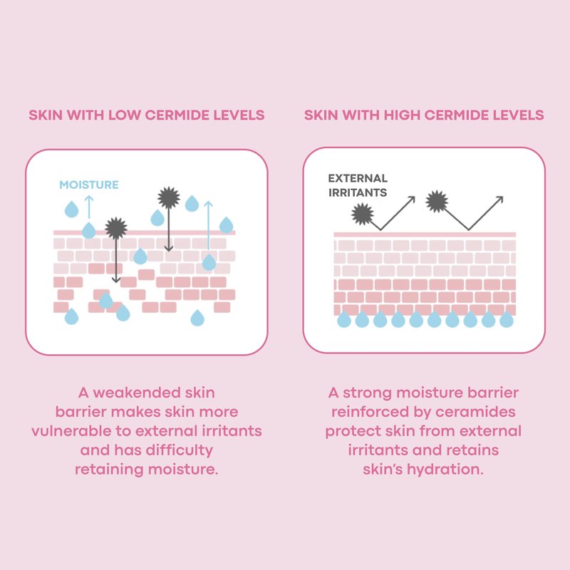 TONYMOLY Wonder Ceramide Mochi Milky Toner – 5,000 ppb Ceramide Barrier Repair Toner for Dry & Sensitive Skin – Hydrating Korean Glass Skin Essence, 16.9 fl oz / 500ml Value Size
