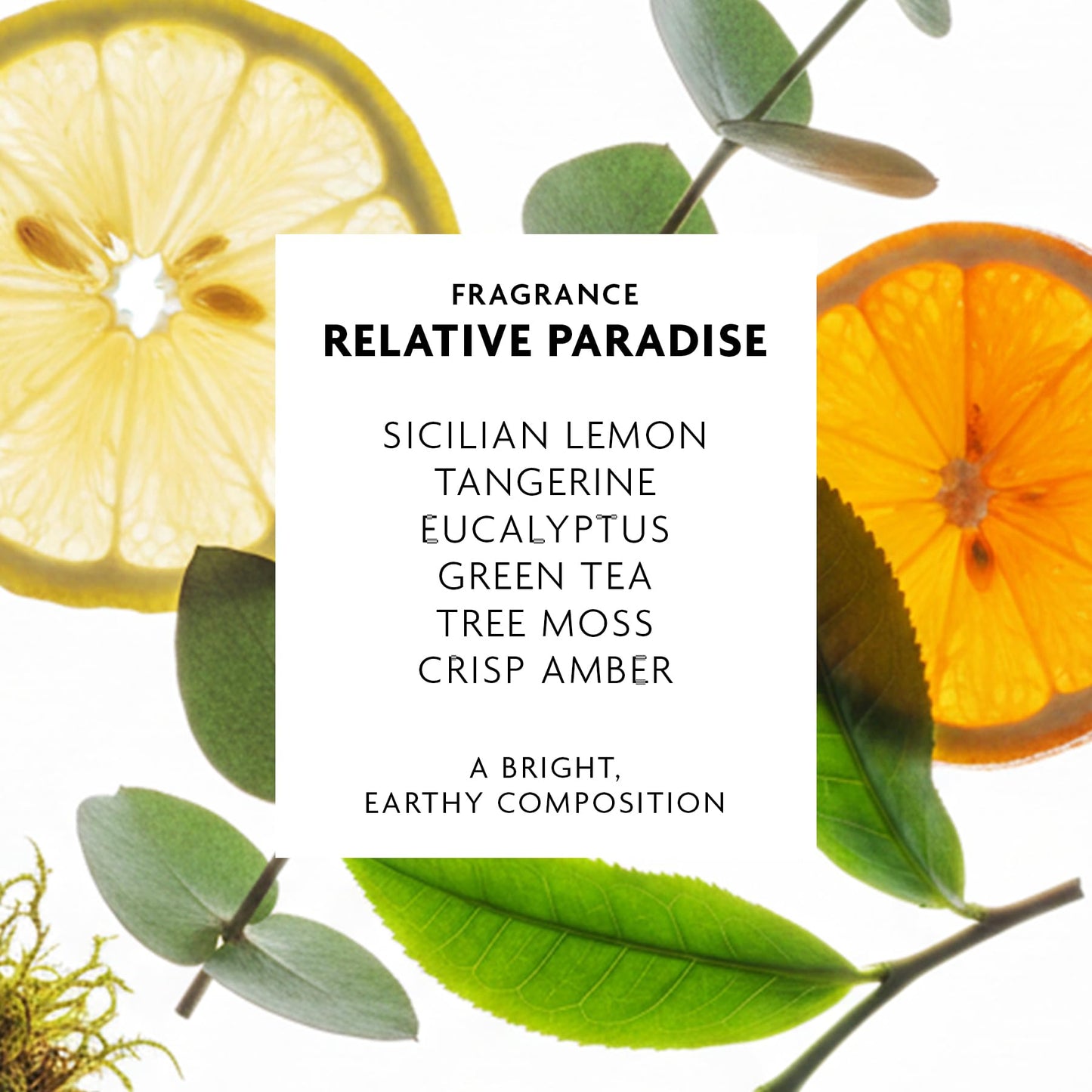 R+Co Badlands Dry Shampoo Paste – 2-in-1 Styling Paste & Dry Shampoo, Adds Volume, Absorbs Oil, Matte Texture for Second-Day Hair, Relative Paradise Fragrance, 2.2 Oz - 3 Pack