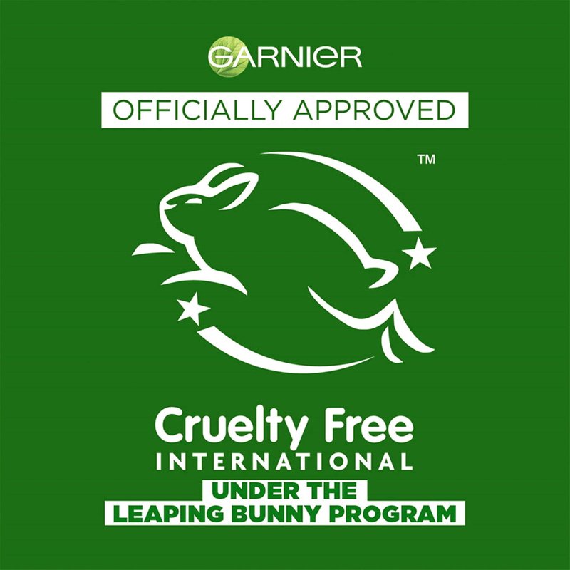 Garnier Invisible Dry Shampoo with no Visible Residue powered by Rice Starch to Instantly Absorb Oil, Refresh and Volumize, Silicone Free, Mint Mojito by Fructis, 4.4 oz.