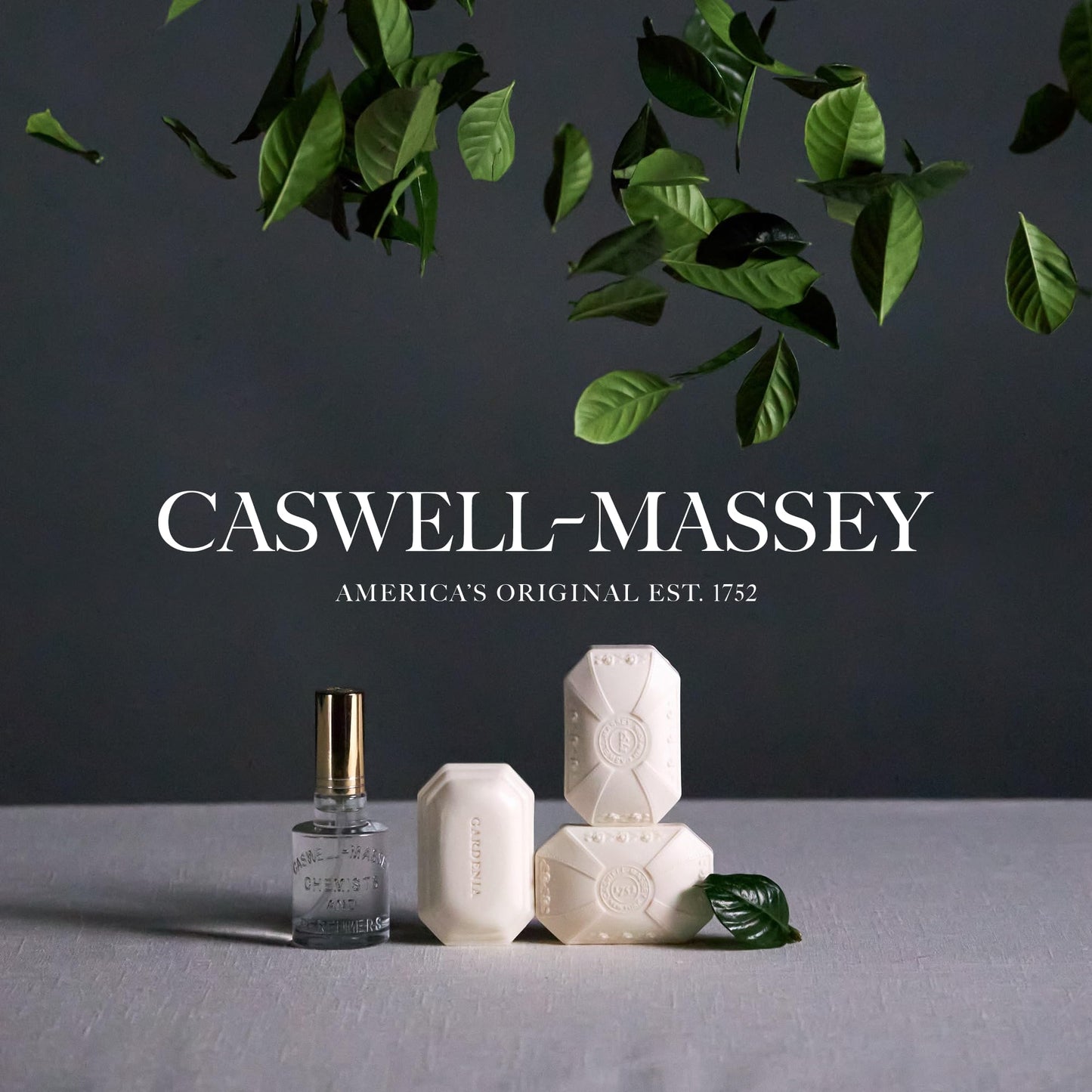 Caswell-Massey Travel Detangler Comb, Extra Wide, Handmade from Renewable & Plant-Based Italian Cellulose Acetate, Tortoise Pattern, 3.75” Wide
