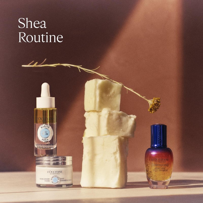 L'OCCITANE Ultra-Rich 10% Shea Butter Nourishing Lip Balm Stick. 0.15 fl oz