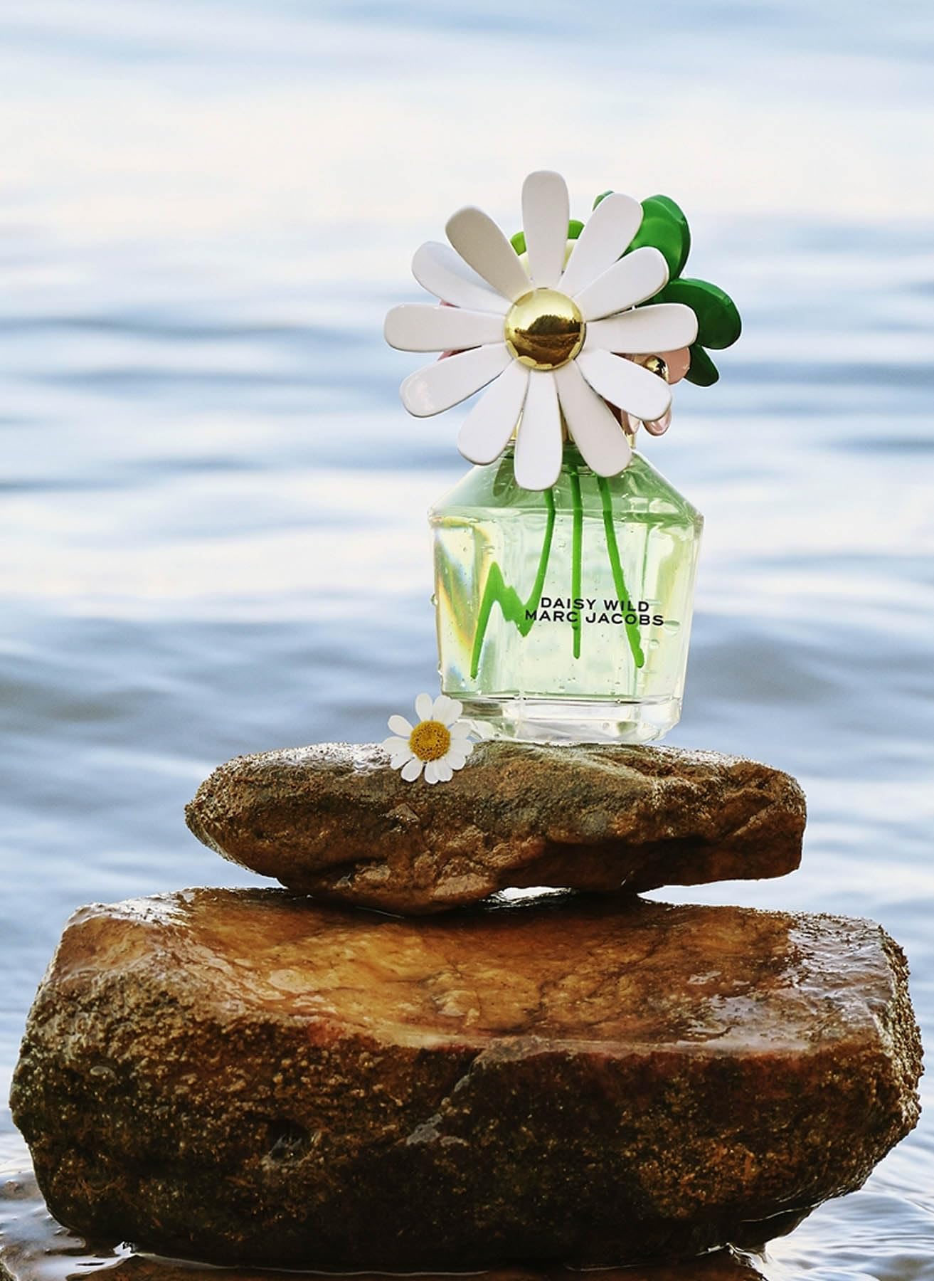Marc Jacobs Daisy Wild Eau de Parfum - Adventurous Floral Women's Perfume - With Notes of Banana Blossom Accord, Jasmine & Macadamia Accord, Sandalwood & Vetiver des Sables 1.67 fl. Oz