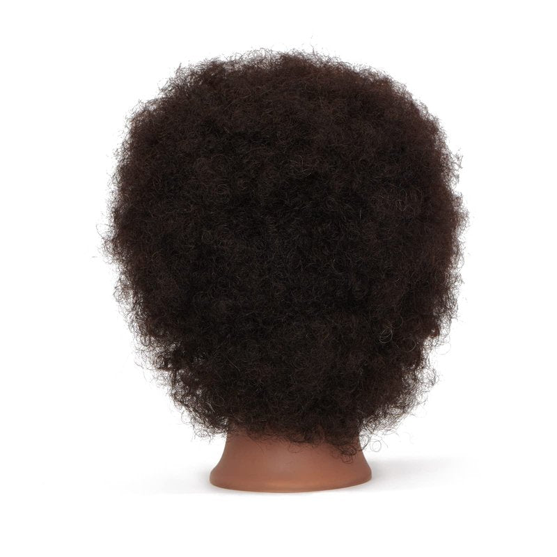 Hairingrid Mannequin Head African American with 100% Human Hair Cosmetology Afro Hair Manikin Head for Practice Styling Braiding and Free Clamp Holder (R72026B0210H)