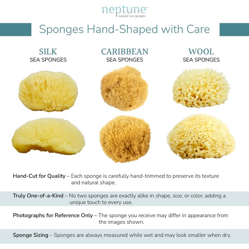 Neptune Sea Wool Sponge, Approx. 8"", 1 Count (Pack of 1), Yellow