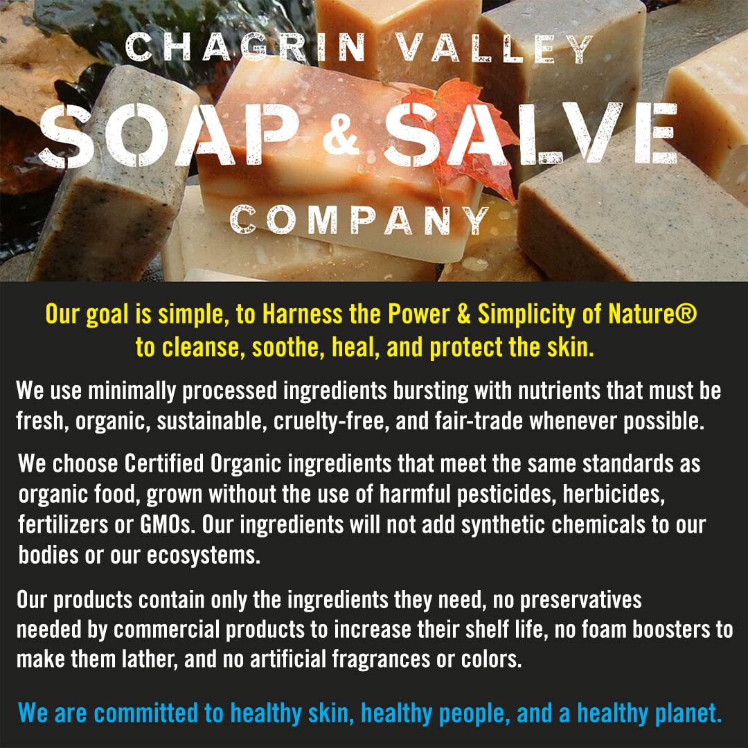 Chagrin Valley Soap & Salve Baby Shampoo Baby Soap Bar from Oat, Honey & Goat Milk - Unscented & Moisturizing - For Babies Sensitive Dry Skin & Eczema - 3.5 oz Shampoo Bar & Organic Body Wash