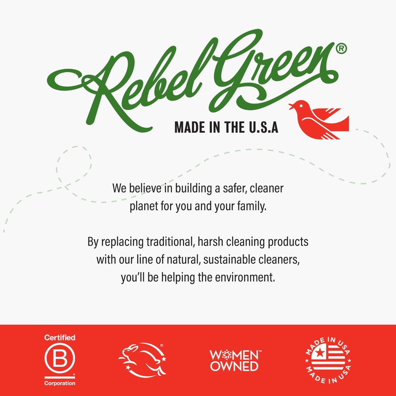 Rebel Green Fresh & Clean Hand Soap - Natural Liquid Hand Soap for Bathroom & Kitchen - Variety Pack, 12 fl oz Spray, Pack of 4