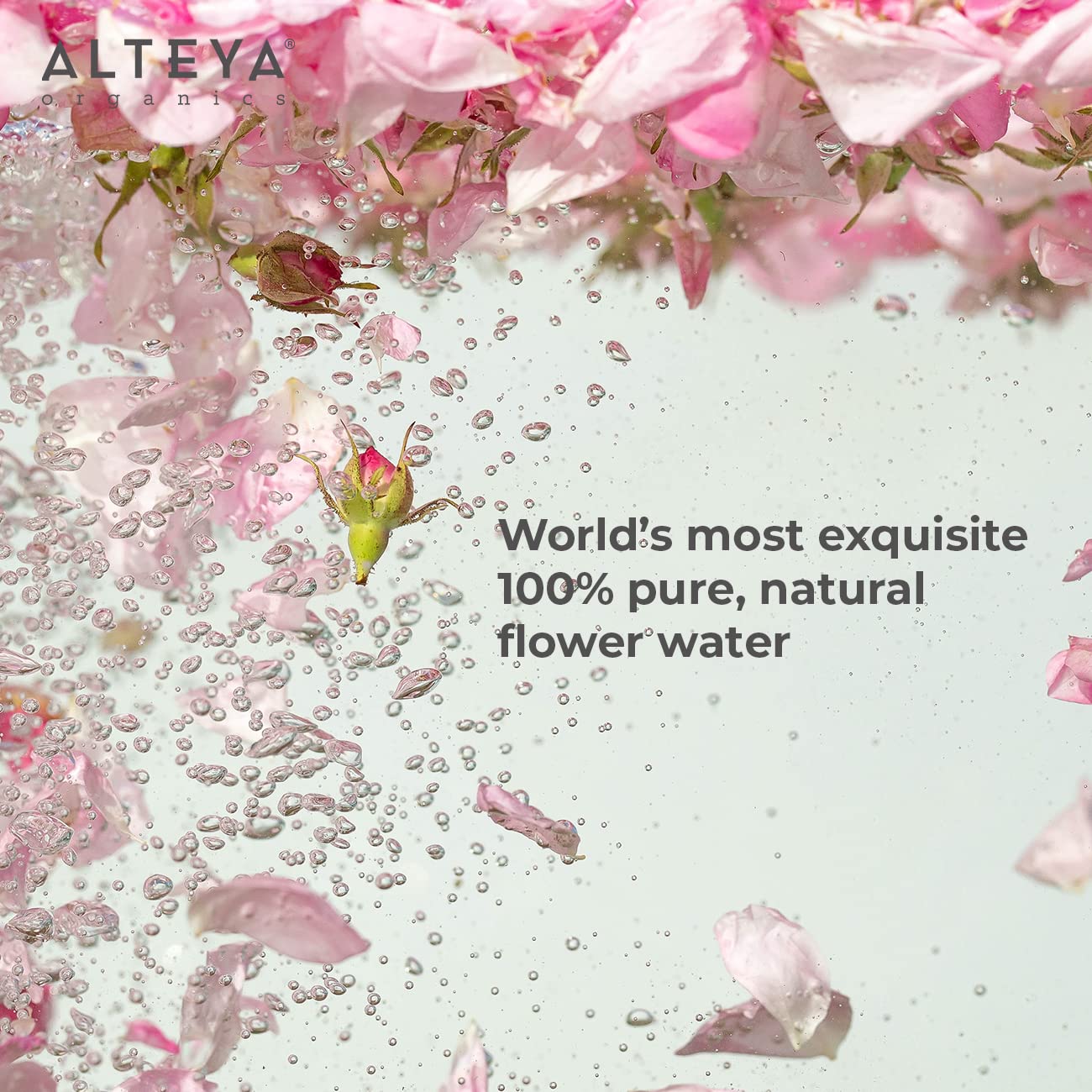 Alteya Organic Rose Water Facial Toner - High-Potency Moisturizer | 6.8 Fl Oz Pure Bulgarian Rosa Damascena