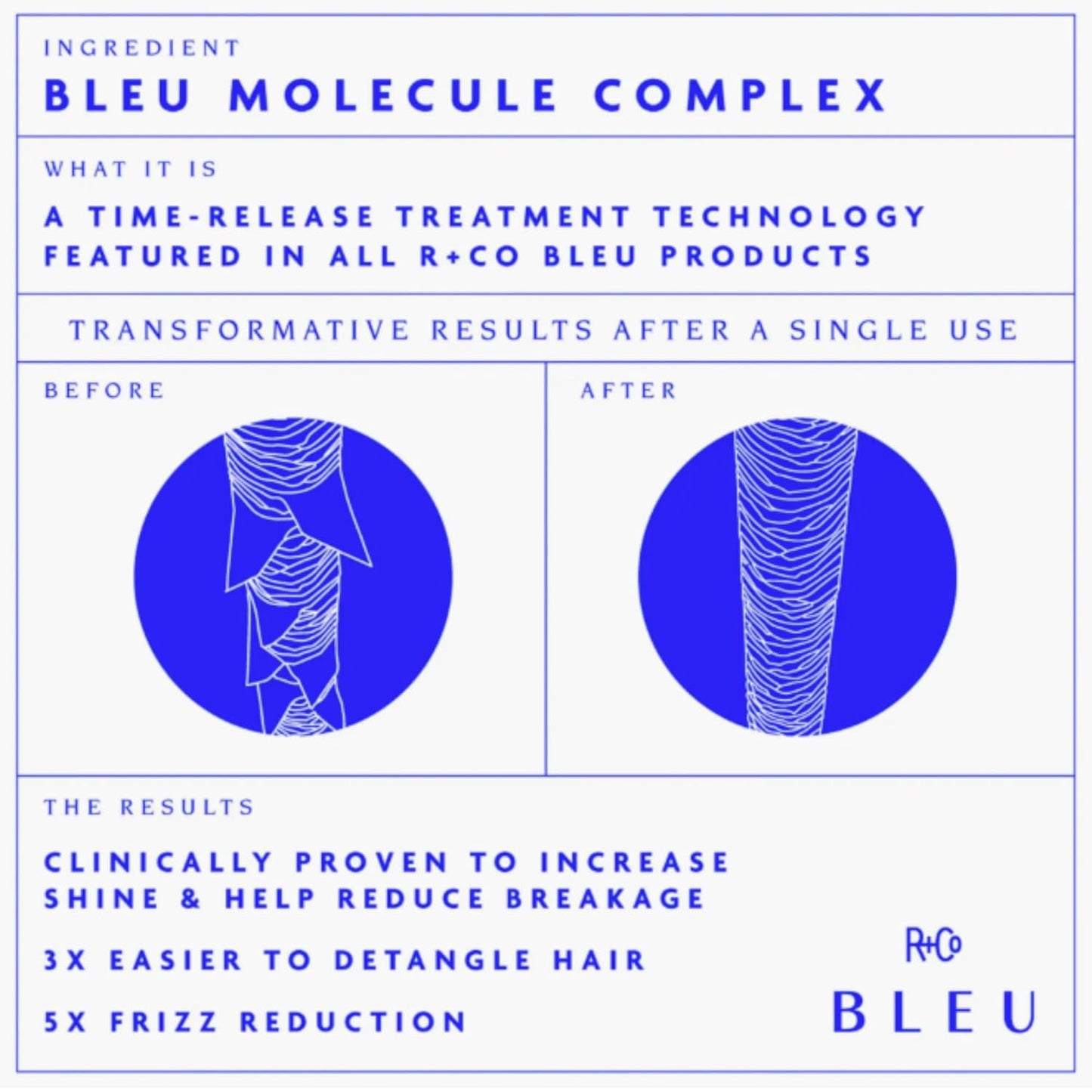 R+Co BLEU Essential Shampoo - Gentle Daily Cleanser for All Hair Types | Hydrates & Adds Shine - 33.8 oz