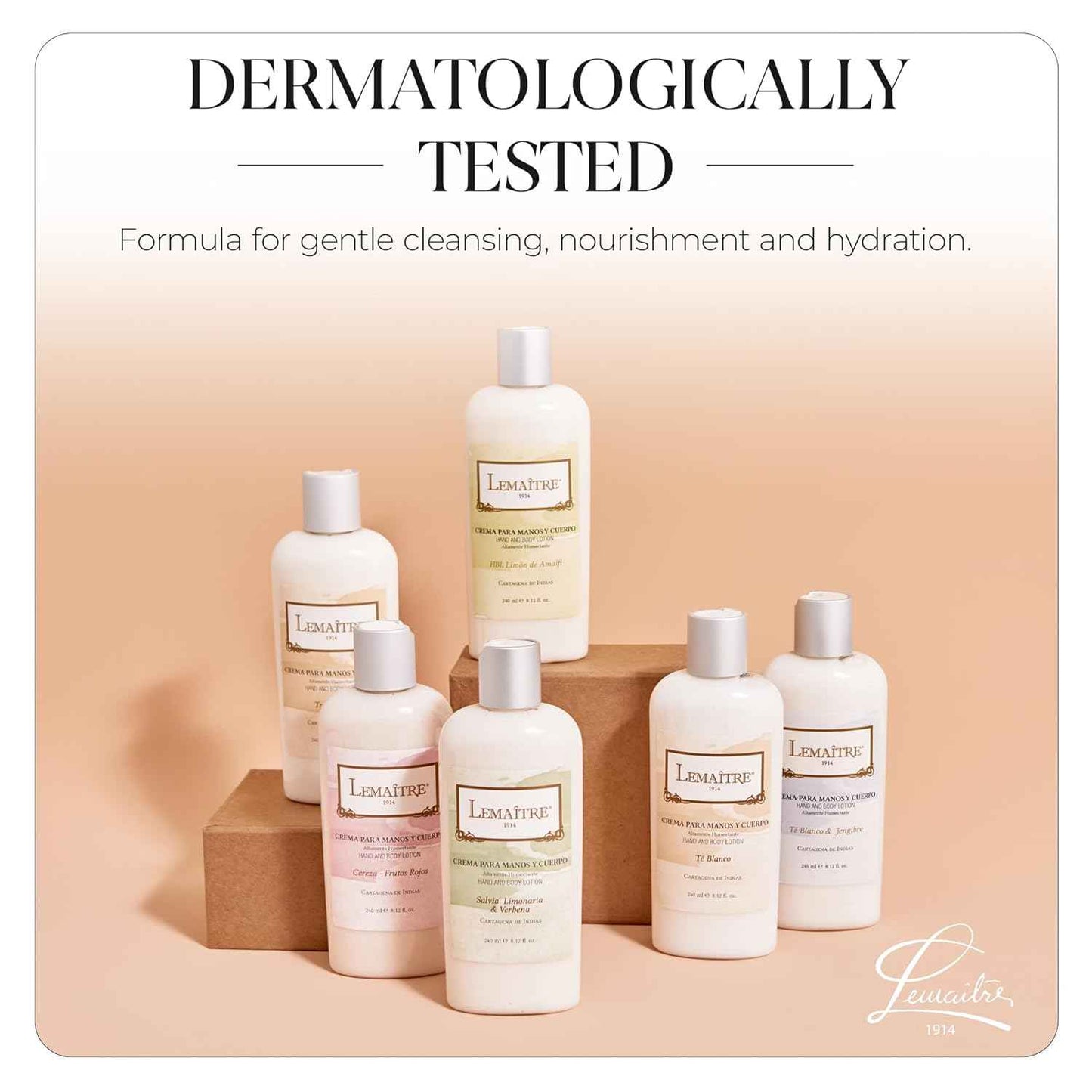 Hydrating Hand & Body Lotion - Fast Absorbing, Non-Greasy Moisturizer for Soft Skin, Travel-Friendly (Mix Pack)
