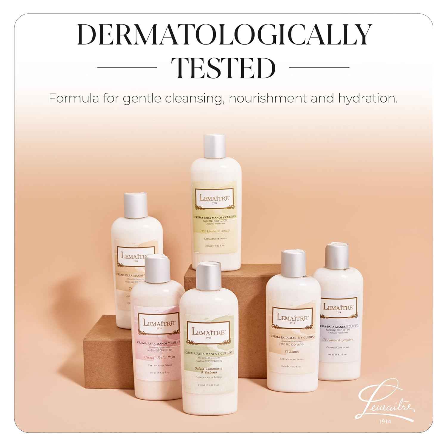 Hydrating Hand & Body Lotion - Fast Absorbing, Non-Greasy Moisturizer for Soft Skin, Travel-Friendly (Mix Pack)