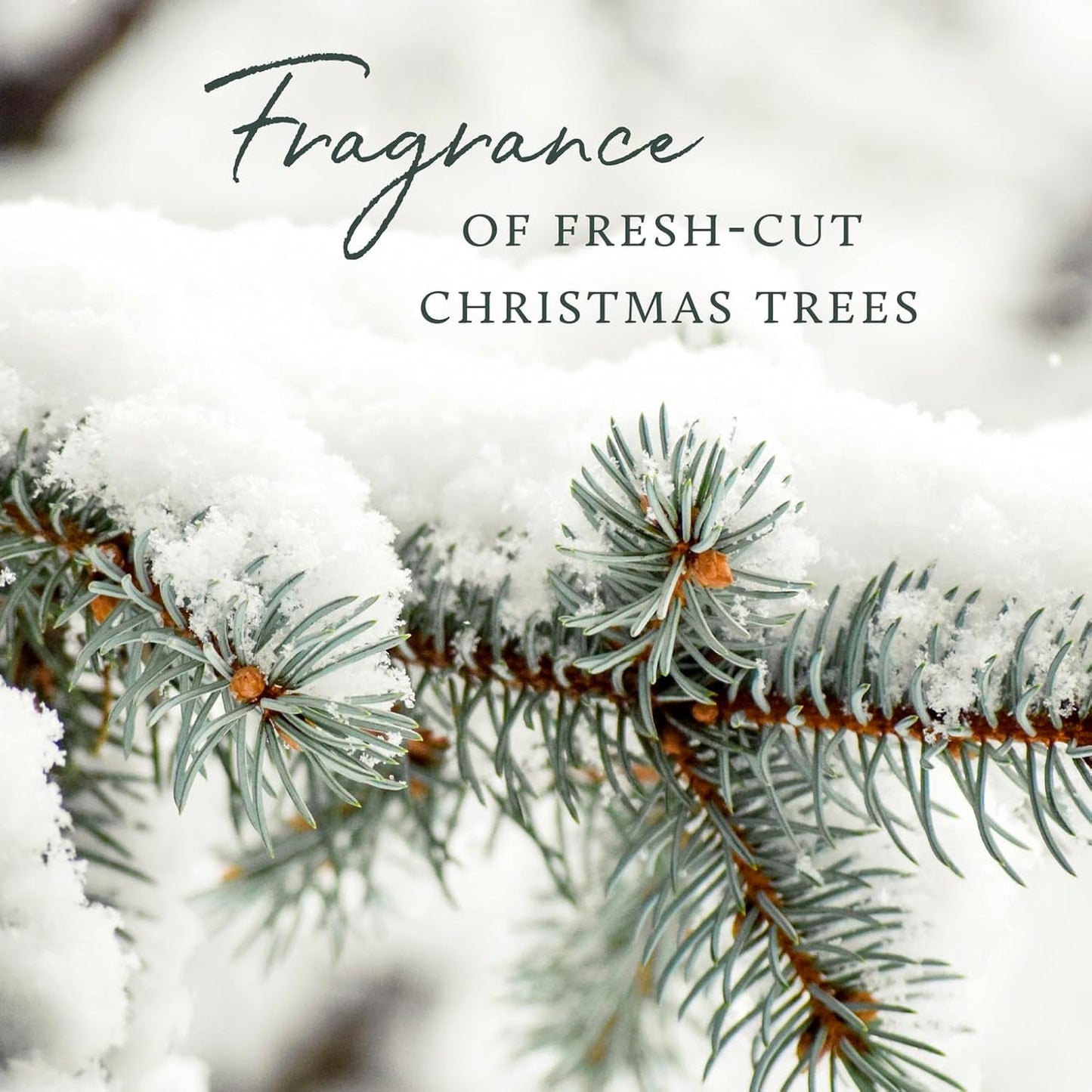 Thymes Frasier Fir Room Spray - Christmas Tree Scented Air Freshener | 3.75 Oz with Siberian Fir Needles