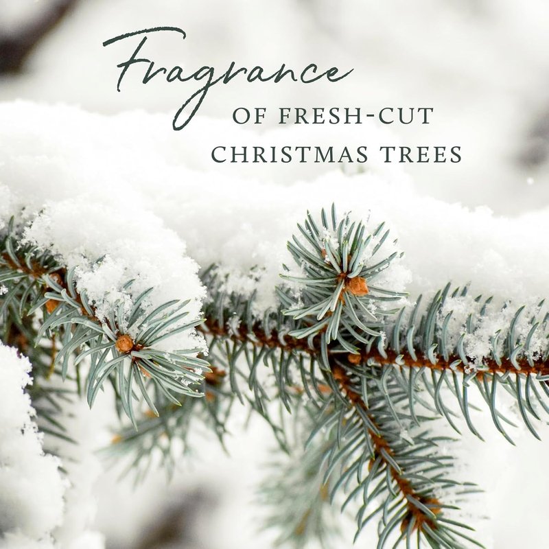 Thymes Frasier Fir Room Spray - Christmas Tree Scented Air Freshener | 3.75 Oz with Siberian Fir Needles
