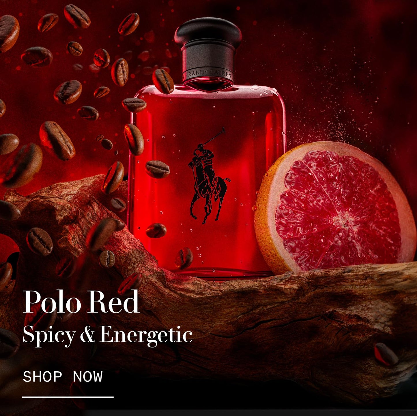 Ralph Lauren - World of Polo Men's Cologne Duo Trial Set ($60 Value) - Polo Red & Polo 67 - Eau de Toilette - 2-Piece Set - Travel Size - 0.5 Fl Oz Each