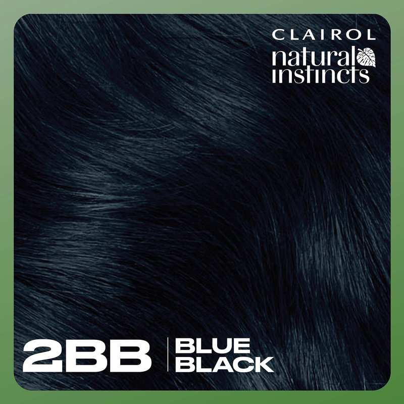 Clairol Natural Instincts Demi-Permanent Hair Dye, 2BB Blue Black | Ammonia‑Free, Vegan Hair Color with Coconut Oil & Aloe Vera | Pack of 1