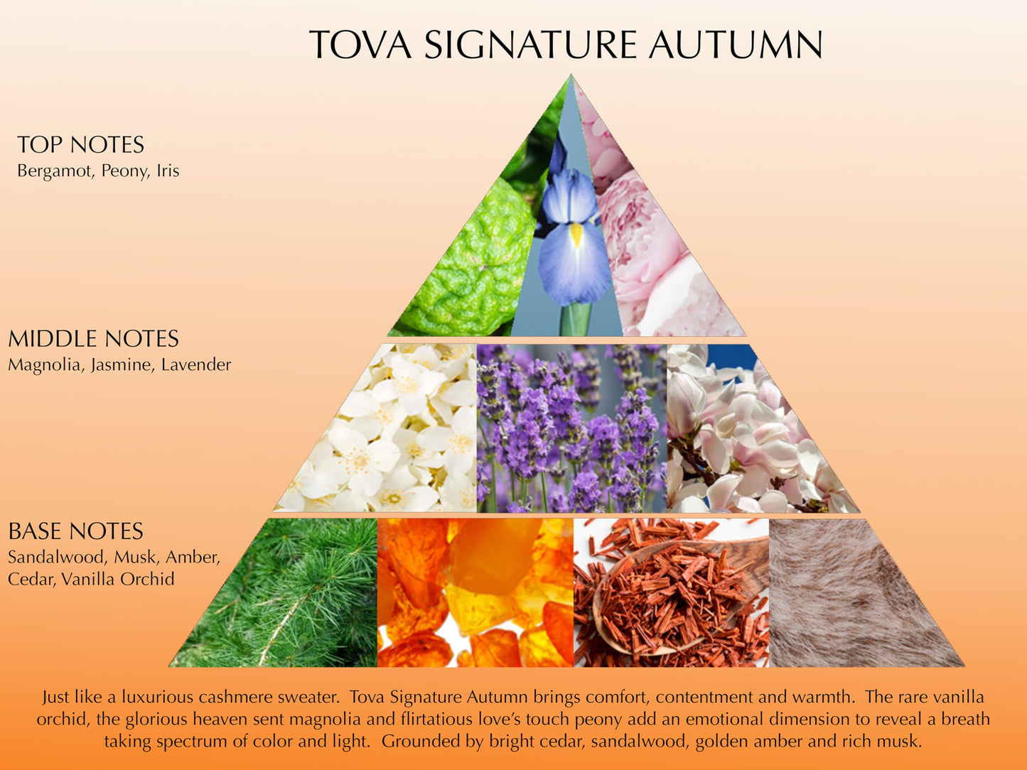 Tova Signature Eau De Parfum