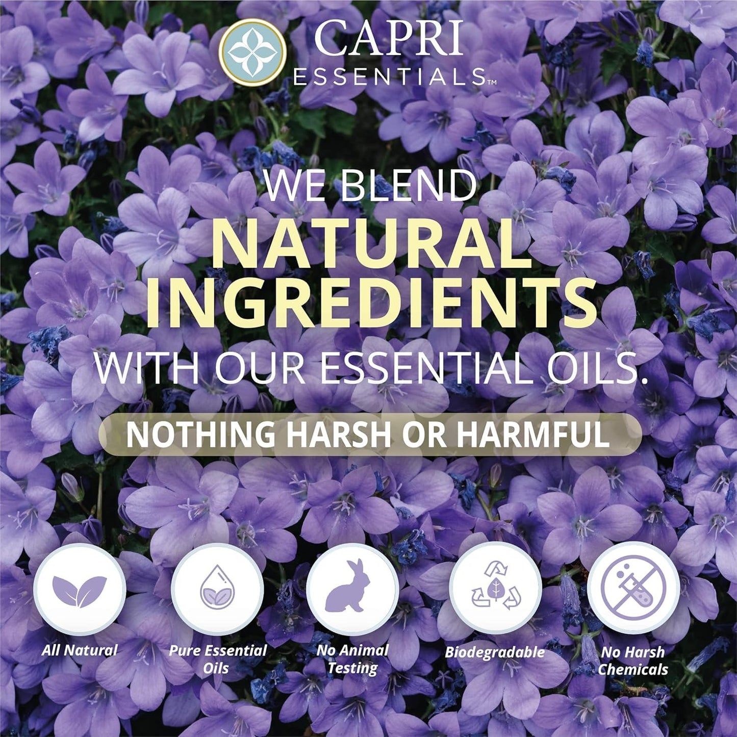 Natural Lavender Hand Soap - Plant-Based Aromatic Liquid Cleanser (16 FL Oz, 3 Pack)