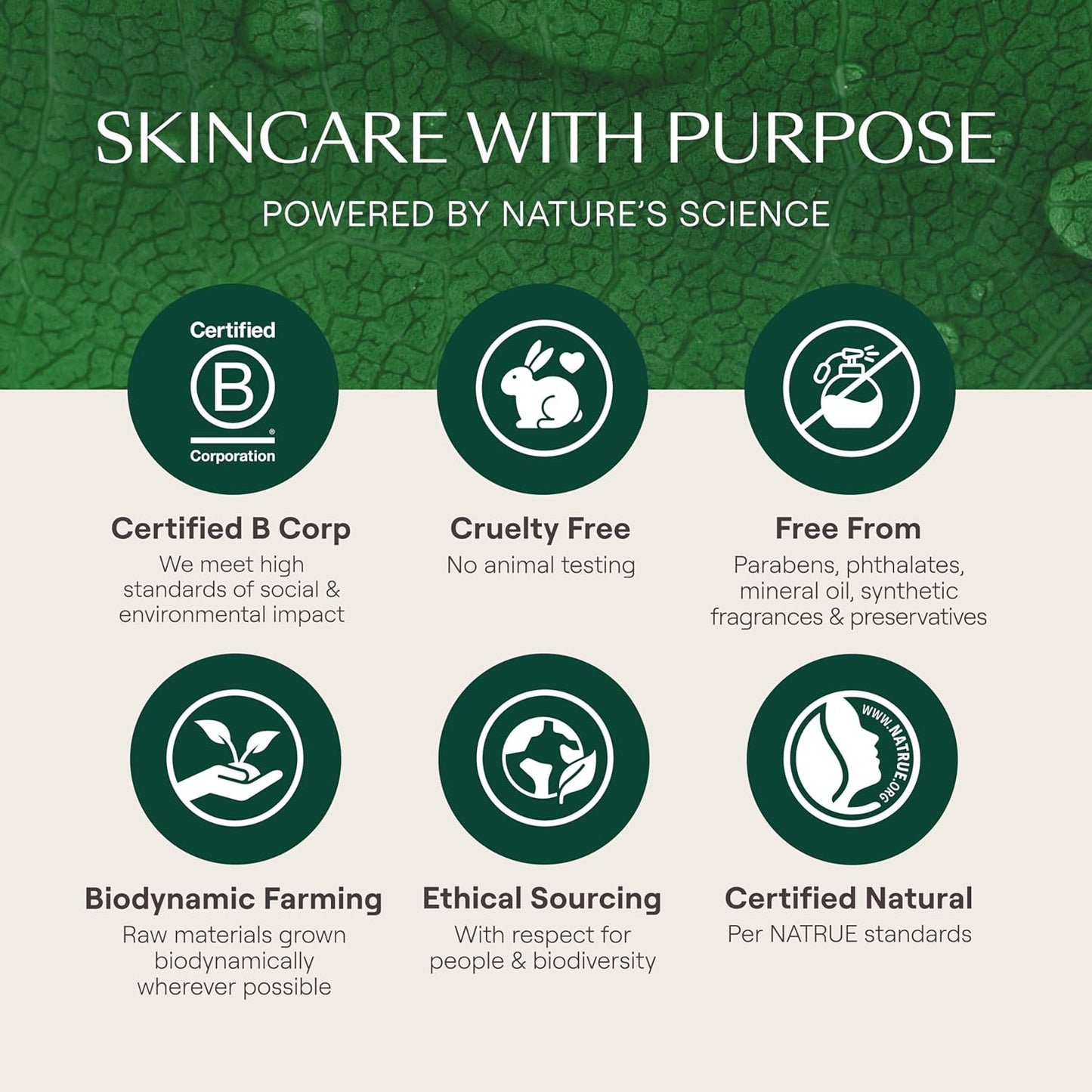 Weleda Skin Food Nourishing Oil-to-Milk Cleanser - 2.5 oz | Plant-Based with Sunflower Oil & Chamomile Extract