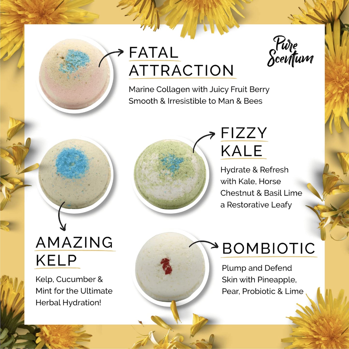 Bombceutical - Bath Bombs for Women - Soothes Acne, Dermatitis, and Eczema - Relaxing Bath Bomb Gift Set for Women with Kale, Kelp, Collagen, and Probiotic to Nourish the Skin