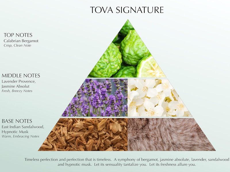 Tova Body Velvet Lotion - Advanced Hydrating Moisturizer for Women - Glow-Enhancing & Cruelty-Free | 6.7 fl oz