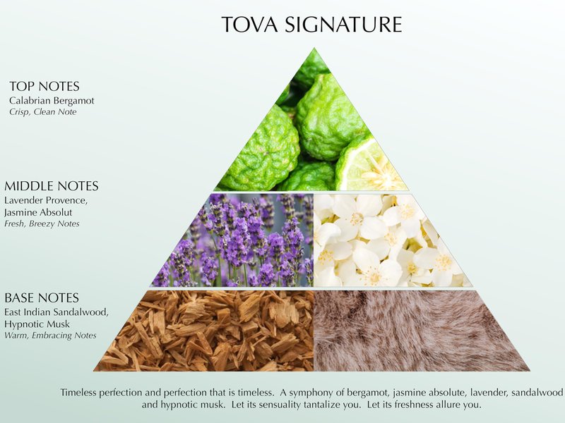 Tova Signature Shower Gel – Moisturizing Fresh & Floral Cleanser for Women – Cornflower and Sea Fennel – USA-Made and Cruelty-Free – 6.7 fl oz