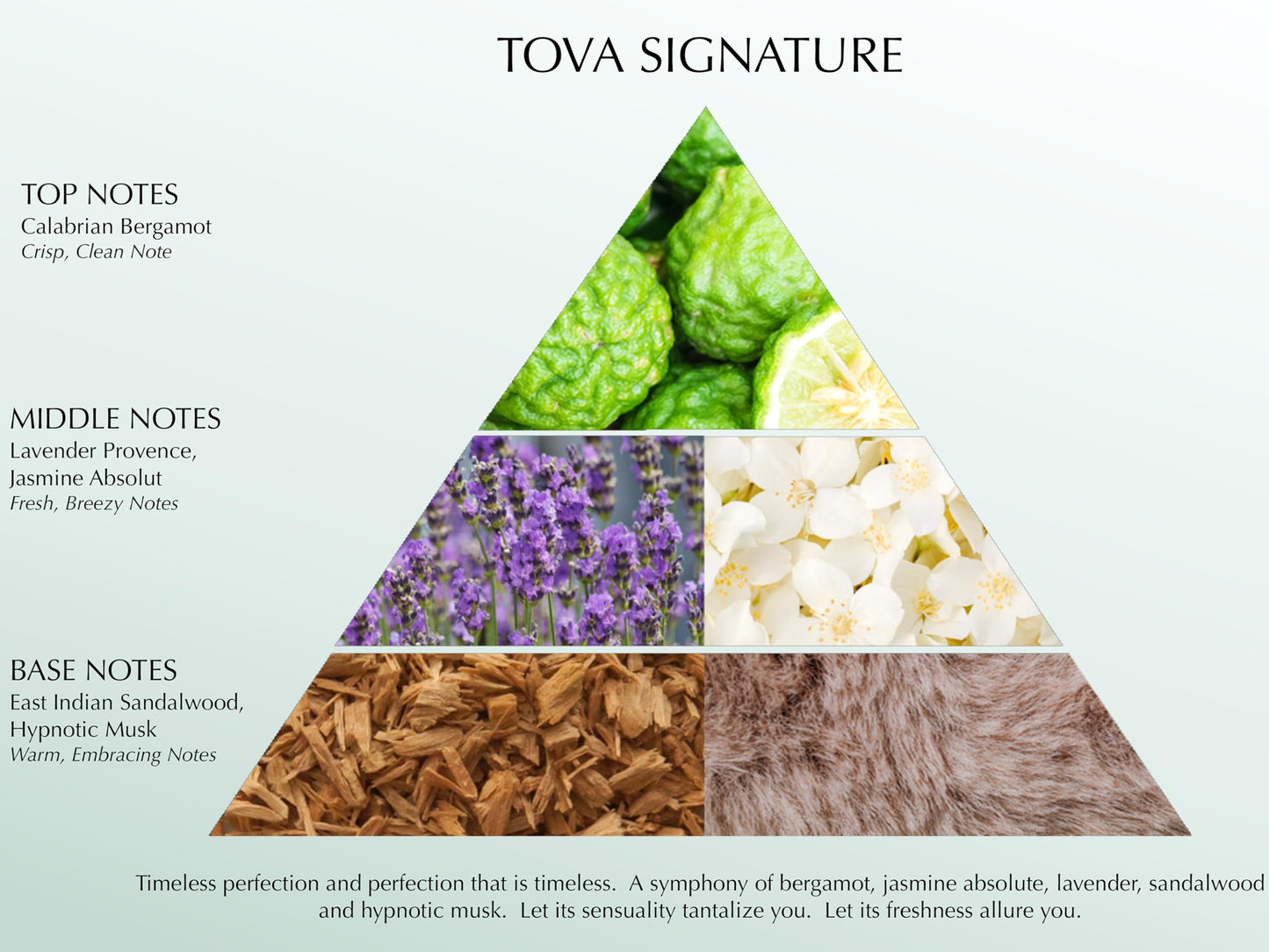 Tova Signature Shower Gel – Moisturizing Fresh & Floral Cleanser for Women – Cornflower and Sea Fennel – USA-Made and Cruelty-Free – 6.7 fl oz
