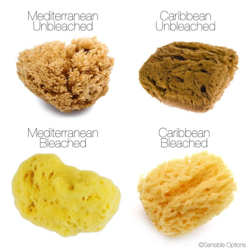 IntimateCare Sea Sponges. Mediterranean Sea Sponges in Plastic Free Packaging - Absolute Quality (Golden Yellow, 2X 6.5-8cm)