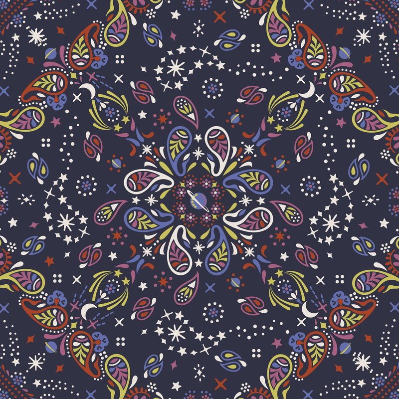 Premium Cotton Brush Up Cosmetic Case, Starry Paisley, One Size