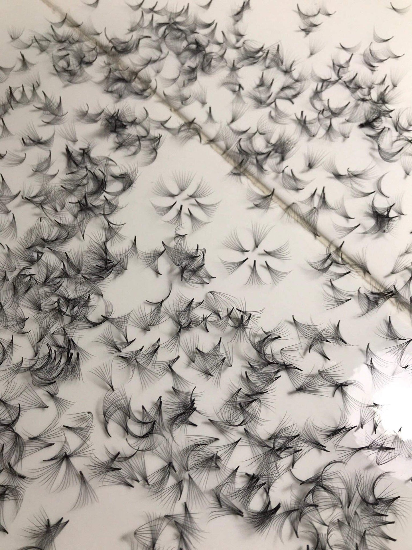12D PREMADE (HAND MADE) FAN LASHES (500 FANS/TRAY) FOR EYELASH EXTENSION, D CURL, 0.05 THICKNESS, LENGTH FROM 10MM-15MM (D13mm12D)