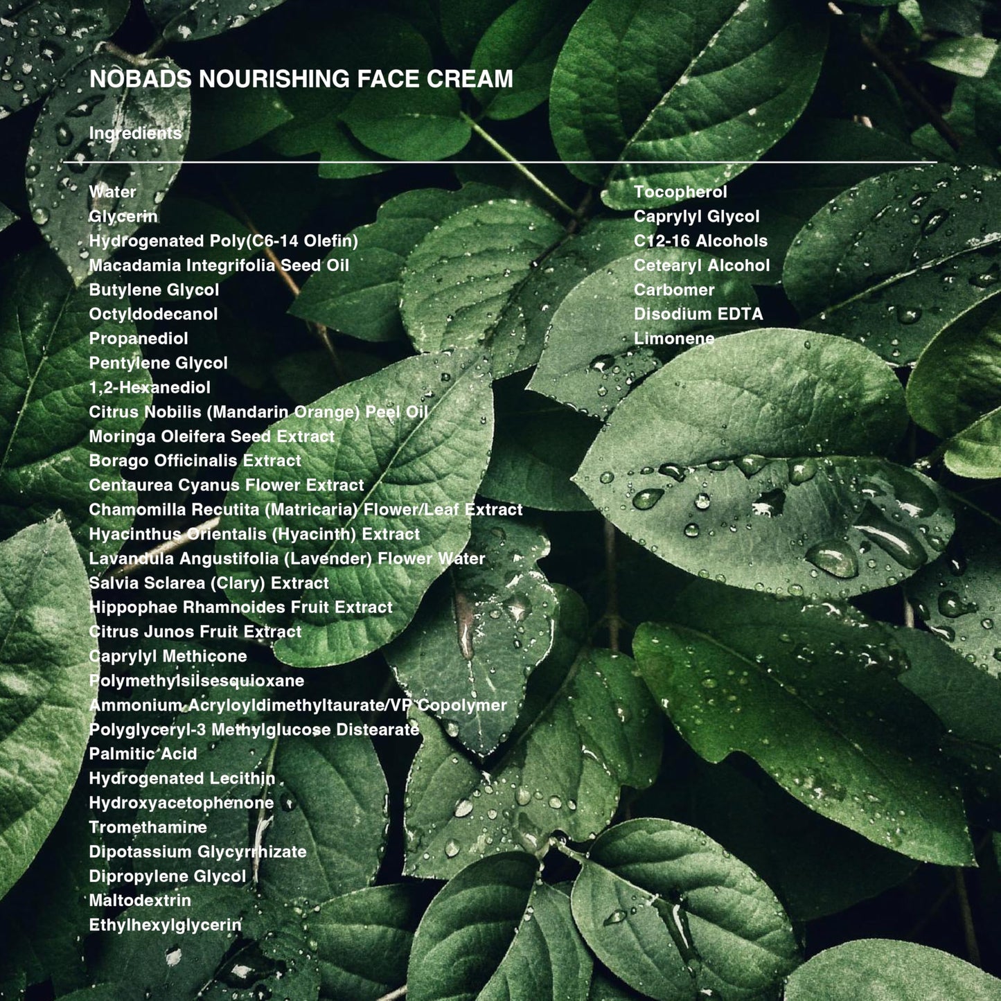 NOBADS NOURISHING FACE CREAM, Ulta moisturizing, Natural moisturizing, Low skin irritation, Paraben-free and formulated without harmful ingredients, Safe for everyone in the family