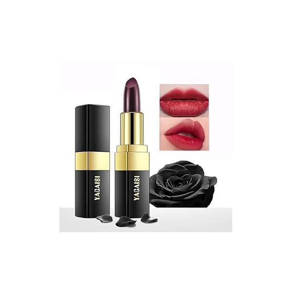 https://ssl.hakyungsoft.com/himg/Url/link/anRlbWdsb2JhbA%3D%3D/112481/600/f.jpg