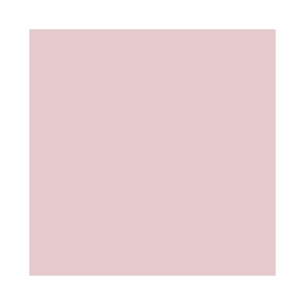 Mac Paint Pot - Princess Cut -5g/0.17oz By Mac