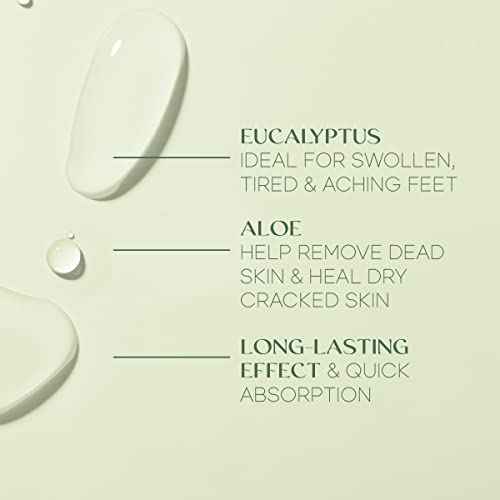 Eucalyptus & Aloe Foot Masks - Moisturizes Tired, Dry & Cracked Feet, Exfoliating & Hydrating - Dermatologist Tested Korean Skincare - Clean Beauty, Cruelty-Free - 3 Pairs