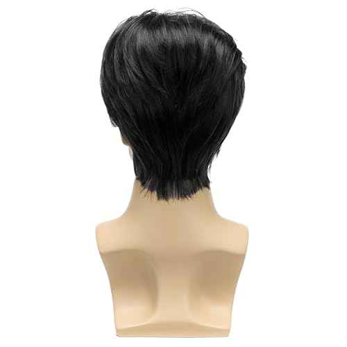 Mens Black Short Wig Middle Part Layered Straight Fluffy Hair for Male Daily Party Costume Cosplay Wear