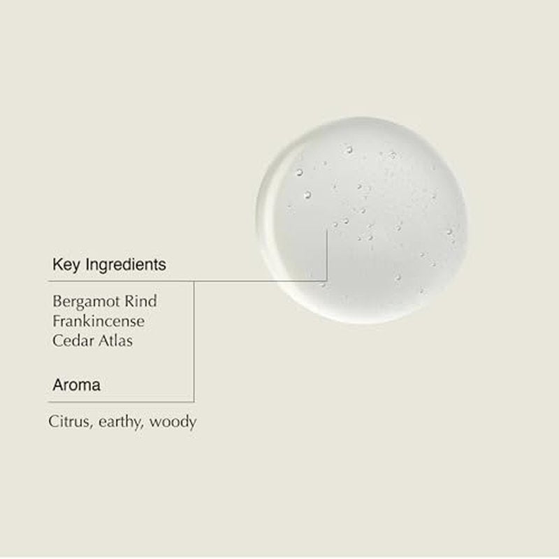 Aesop Shampoo & Conditioner Set | Hydrates, Softens, & Adds Shine | All Hair Types | 16.9 oz / 500mL