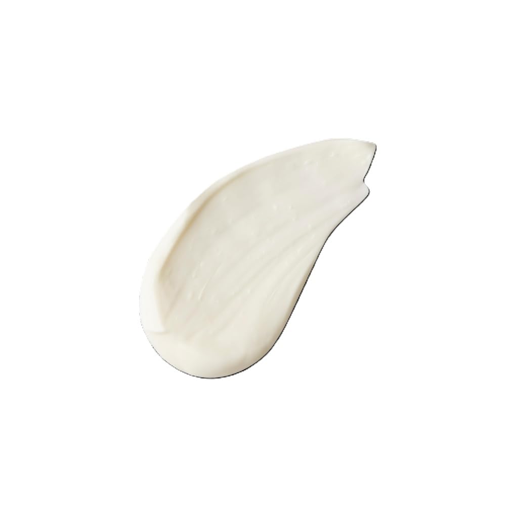 Evolve Organic Beauty Daily Renew Facial Cream - Vegan, Small-Batch Skincare | 1 oz (30 mL)