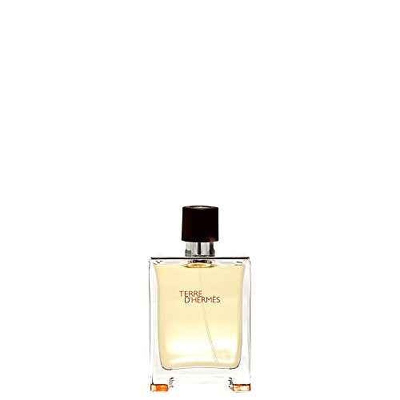 Terre D'hermes/Hermes EDT Spray 1.7 Oz (M)