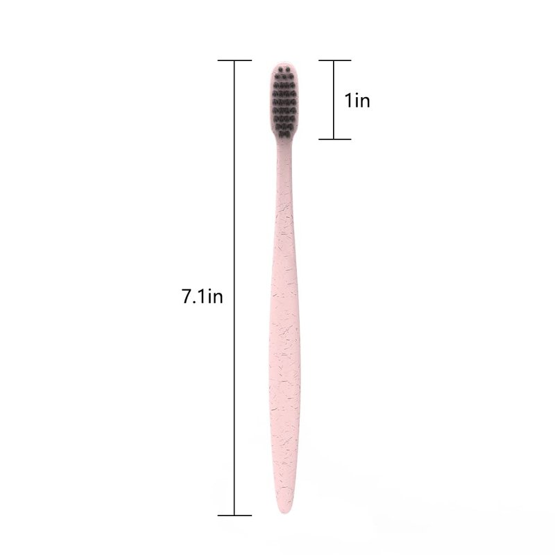 DR PERFECT Prepasted Wheat Charcoal Toothbrush Individually Wrapped with Sealed Paper Bag Pack of 144 (144)