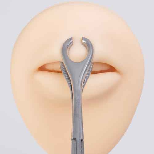 Professional Body Piercing Plier, Body Piercing Pliers Tool, Ear Lip Navel Nose Tongue Septum Sponge Forceps Clamp, 316L Stainless Steel Piercing Plier